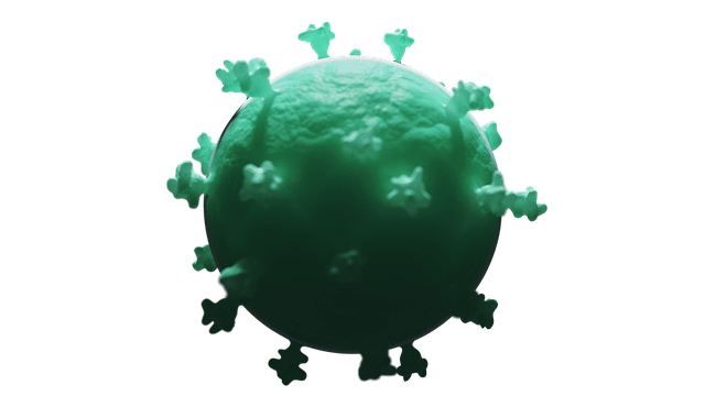 Image by Cassiopeia_Arts from Pixabay